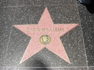 Walk of Fame - die Gehsteige in Hollywood sind mit solchen Sternen versehen