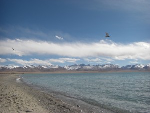 der See erinnert uns sehr ans Meer, die wunderschoenen Bergriesen am anderen Ufer holen uns gedanklich aber doch wieder nach Tibet zurueck