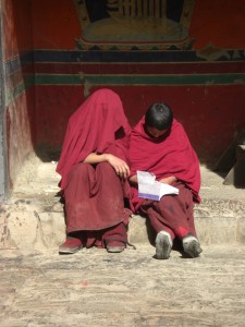 ...im Kloster sieht man viele Moenche und Novizen - allerdings bestimmen die Chinesen wer Moench sein darf...