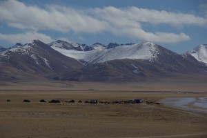 am See bietet sich uns Tibet vom Feinsten - eine Gruppe Nomaden haben ihre Zelte am Ufer aufgeschlagen