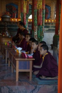 Novizen beim Rezitieren von Mantras - wir fuehlen uns sehr nach Tibet zurueck versetzt
